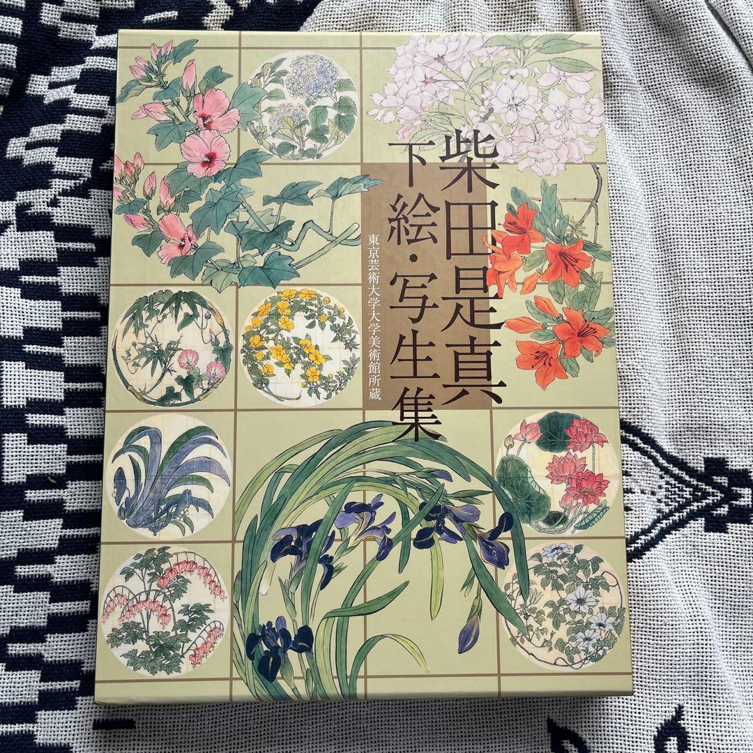 柴田是真 下絵写生集