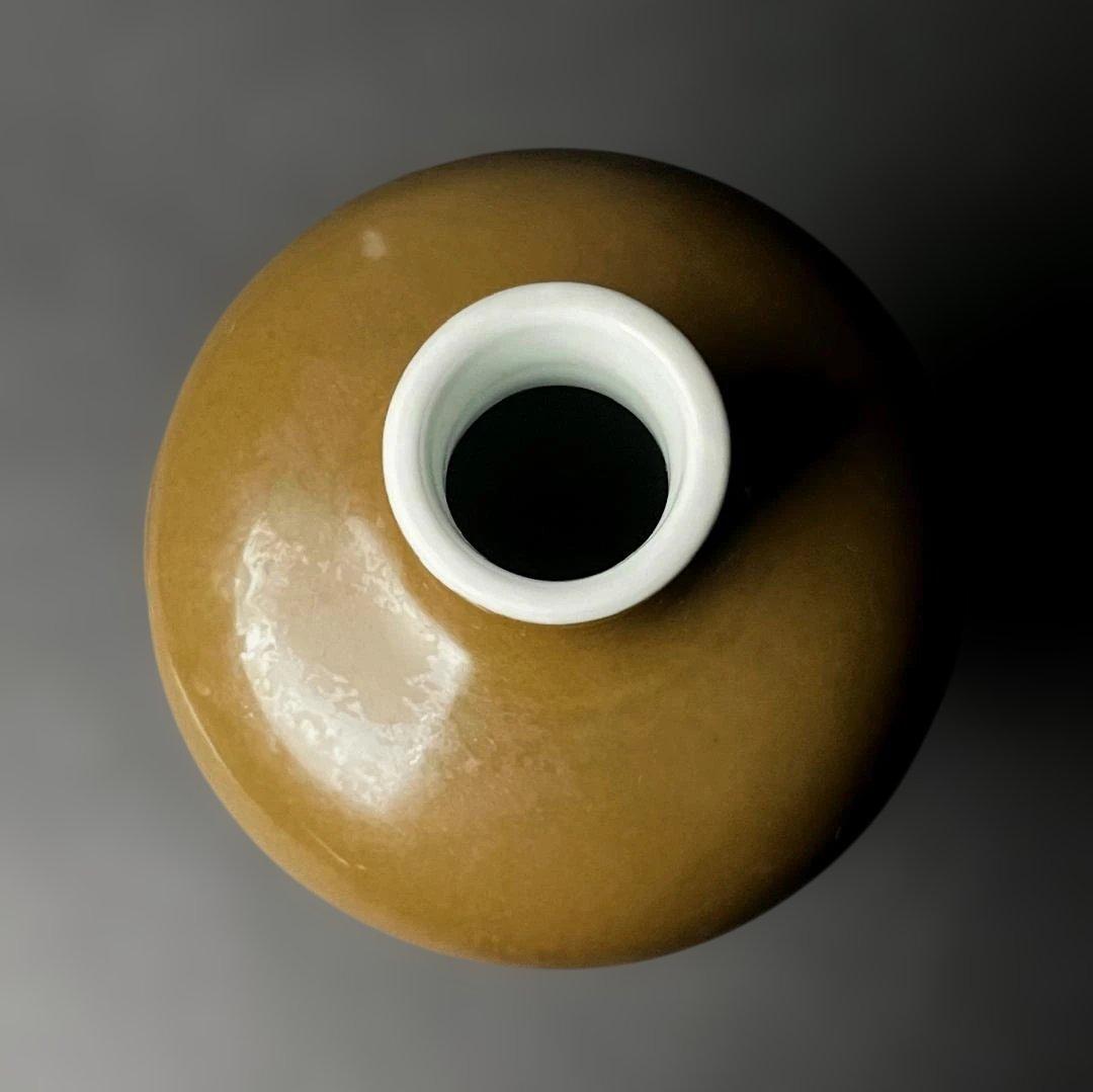 唐物 柿釉 鉄釉観音瓶 大清雍正年製 款 中国美術 景徳鎮 古玩 SH85