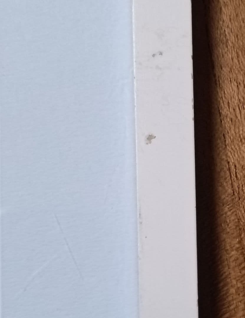 絶版 美品 奈良美智 ポスター『勉強中』 ドイツ製 額装品 - メルカリ