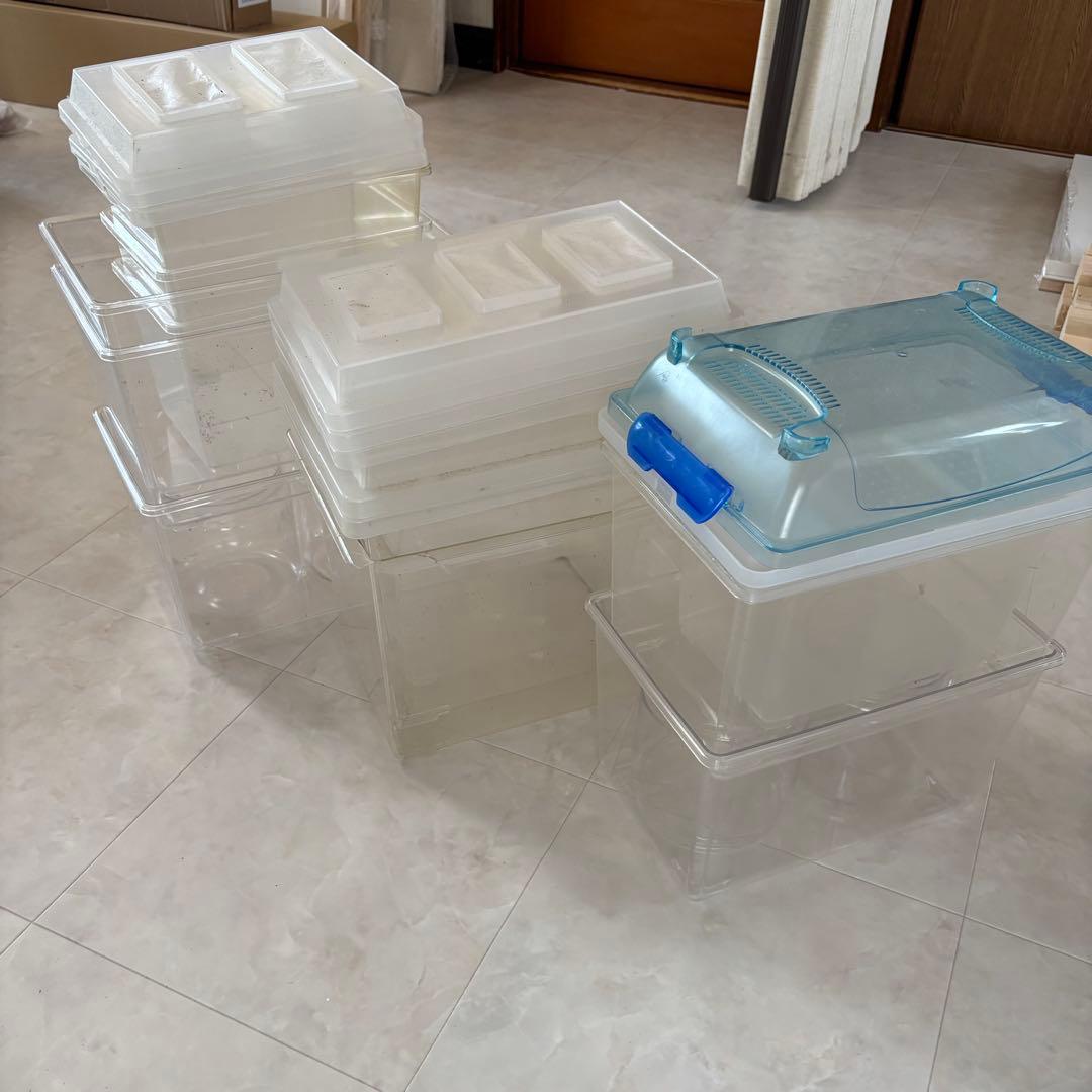 シーラケース　コバエシャッター 昆虫飼育ケース sanko クリーンケースセット シーラケース コバエシャッター 昆虫飼育ケース sanko クリーンケース