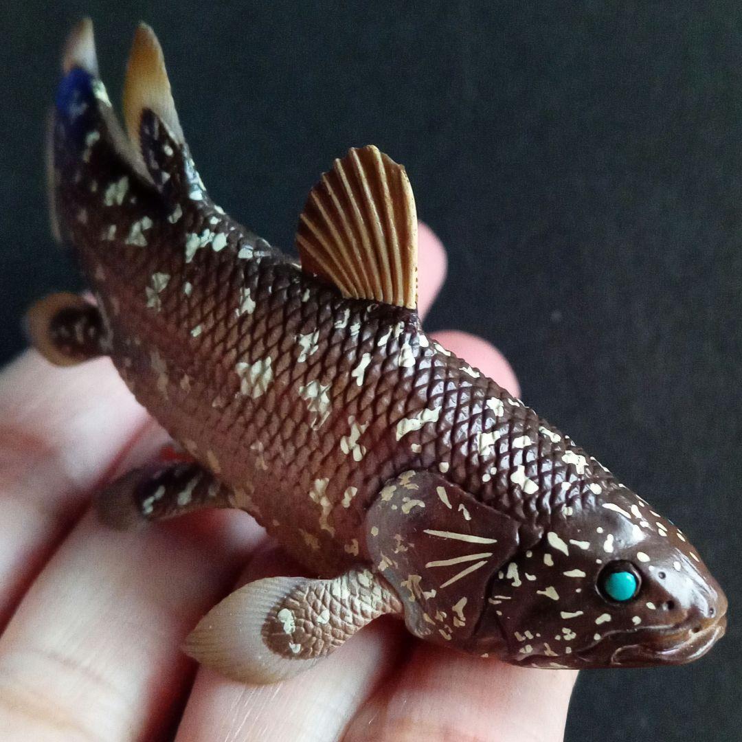 生きた化石 シーラカンス 精密フィギュア 模型 深海魚 - メルカリ