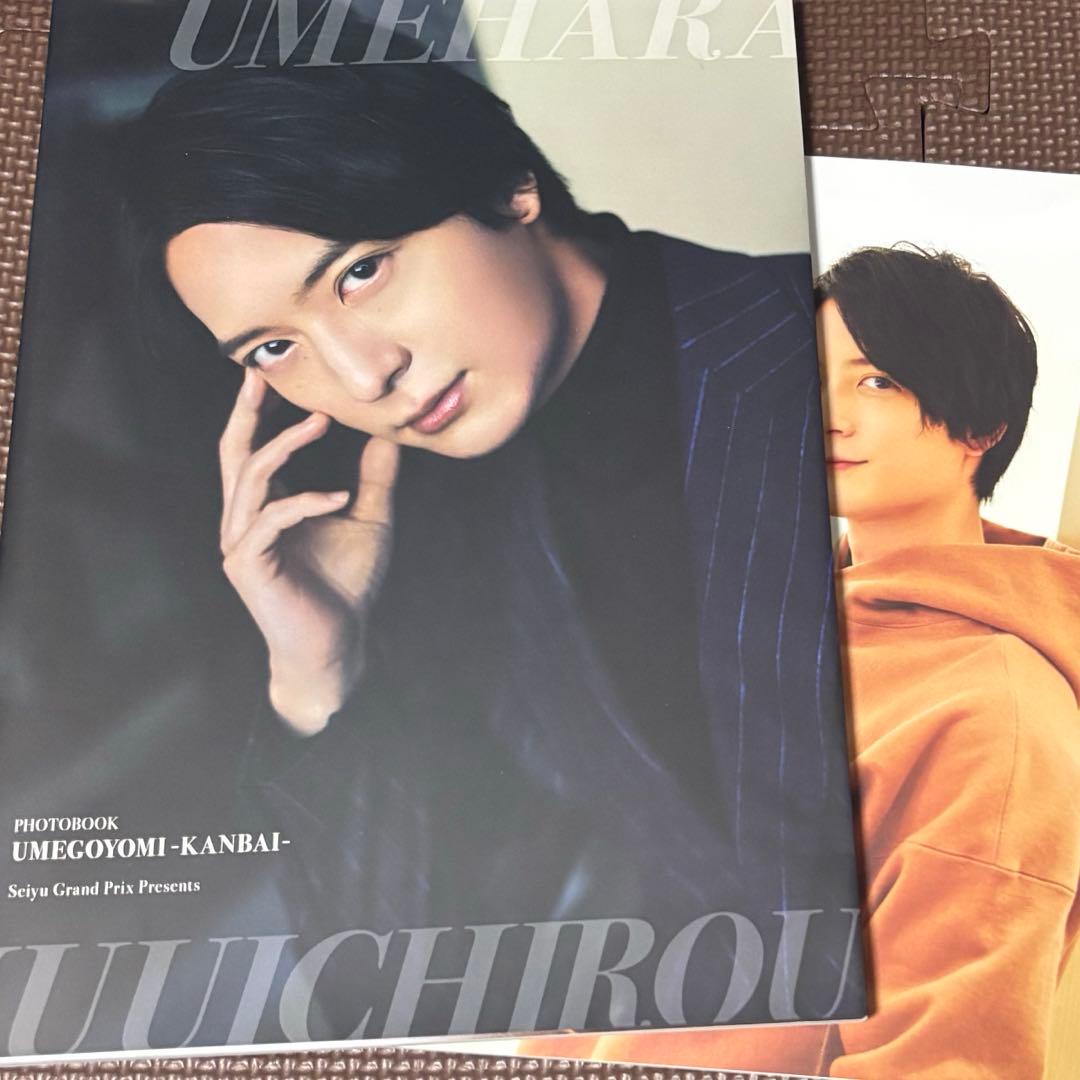 梅原裕一郎 梅ごよみ 観梅 - メルカリ