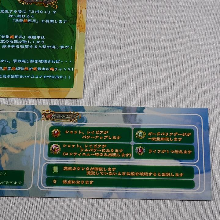 純正インスト+取扱説明書+帯1本 エスプガルーダ2 CAVE