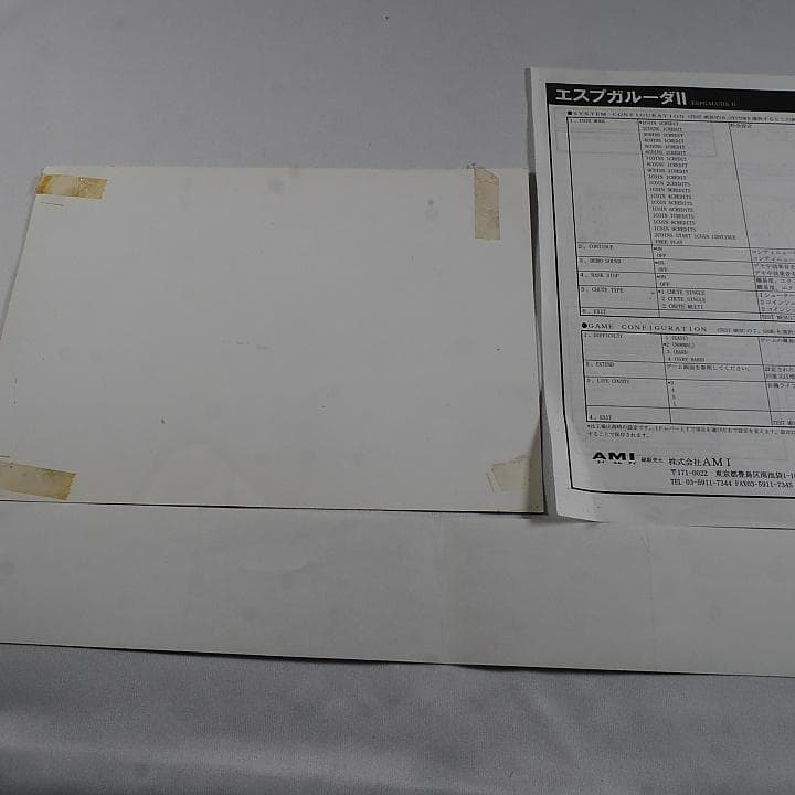 純正インスト+取扱説明書+帯1本 エスプガルーダ2 CAVE