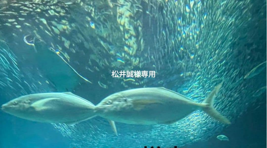松井誠 荒通し | 松井誠オフィシャルブログ「松井誠の命に縁あるかぎり