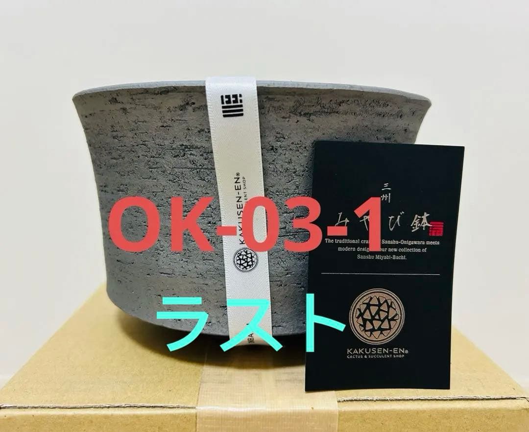 鶴仙園 みやび鉢 OK-03-1 オニバス 未使用品 - メルカリ
