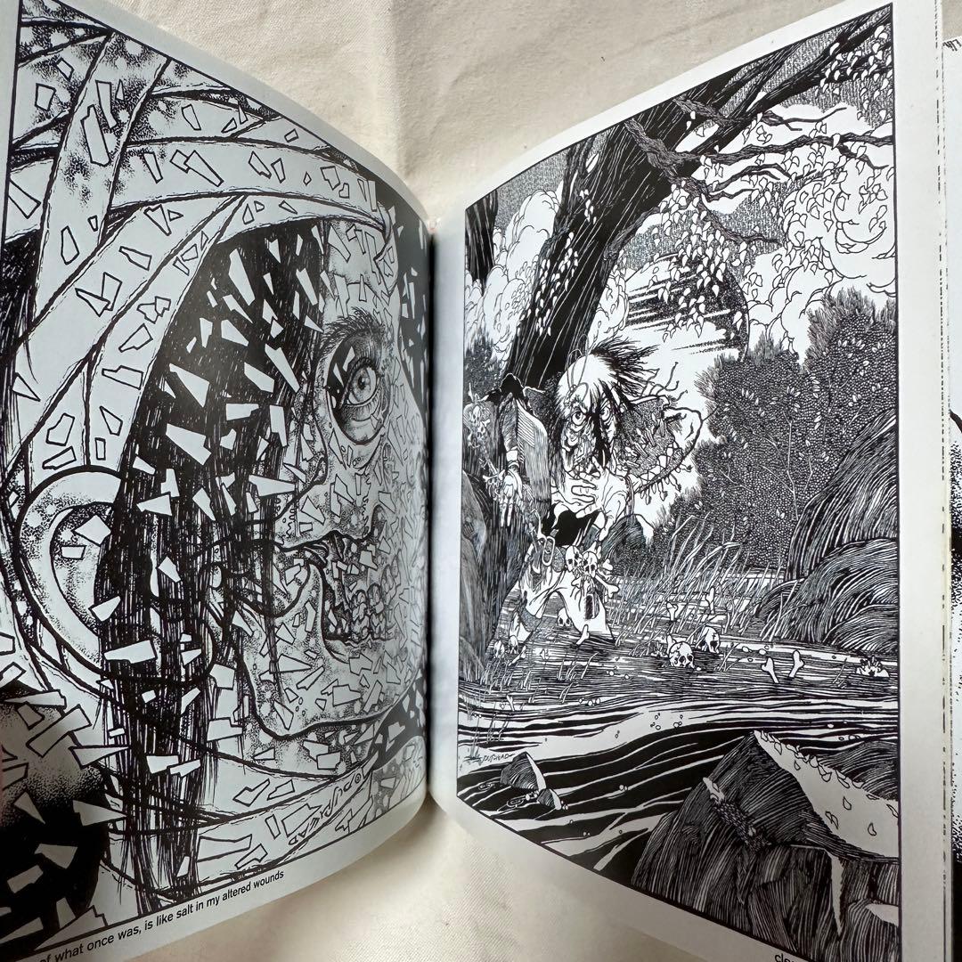 PUSHEAD SPARROW 画集 パスヘッド USUGROW - メルカリ