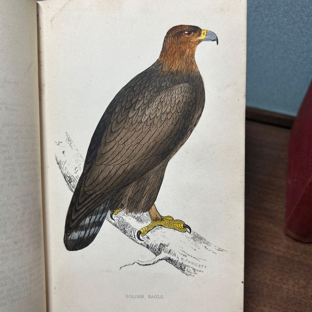 ア*リ様 ☆英国鳥類図鑑 モリス A History of British Bi - メルカリ