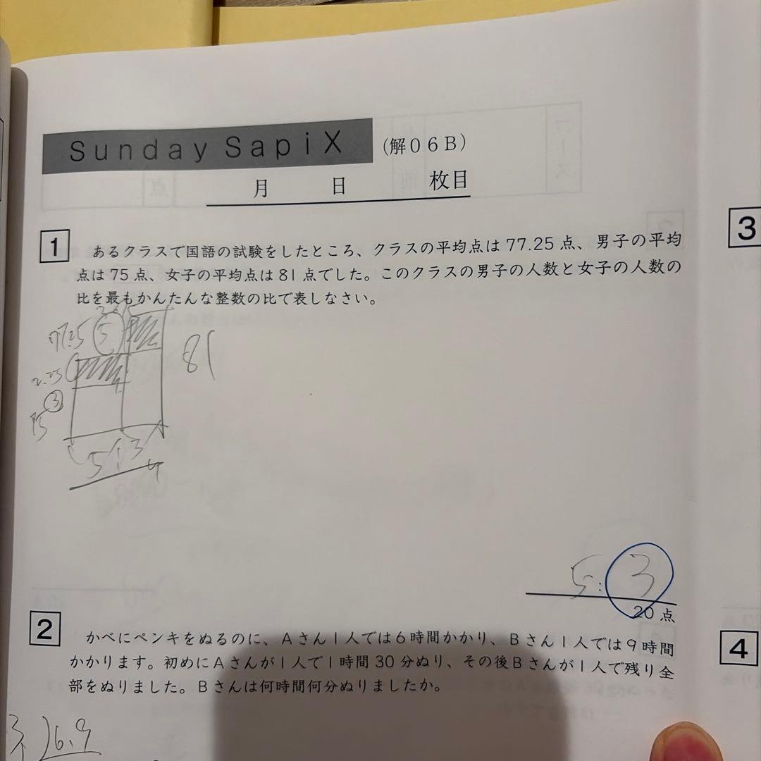 サピックス SAPIXの解法シリーズ14冊セット - メルカリ