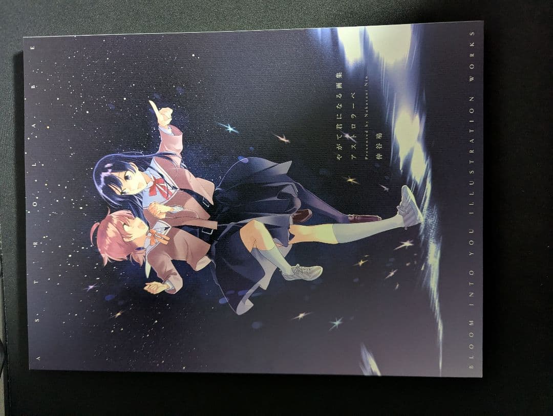 やがて君になる 画集 アストロラーベ レア 帯・カバー付き - メルカリ