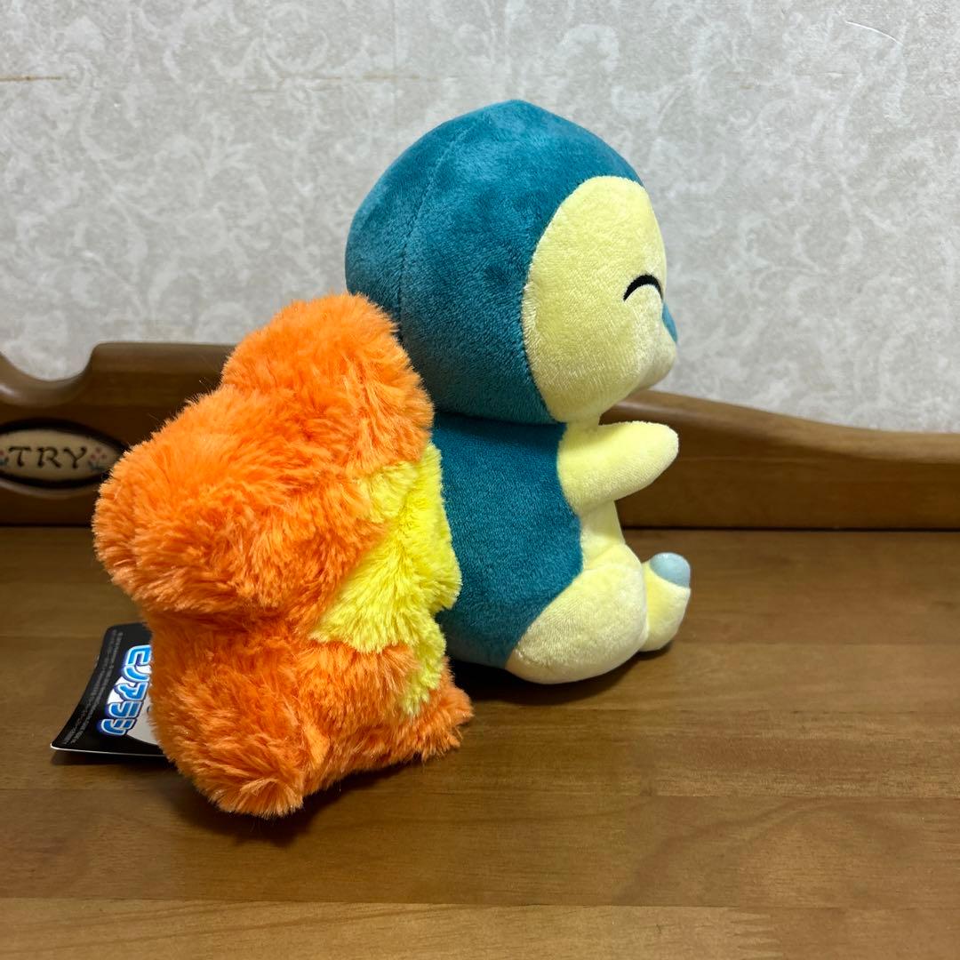 ポケモン ポケセン ポケモンセンター ぬいぐるみ ヒノアラシ