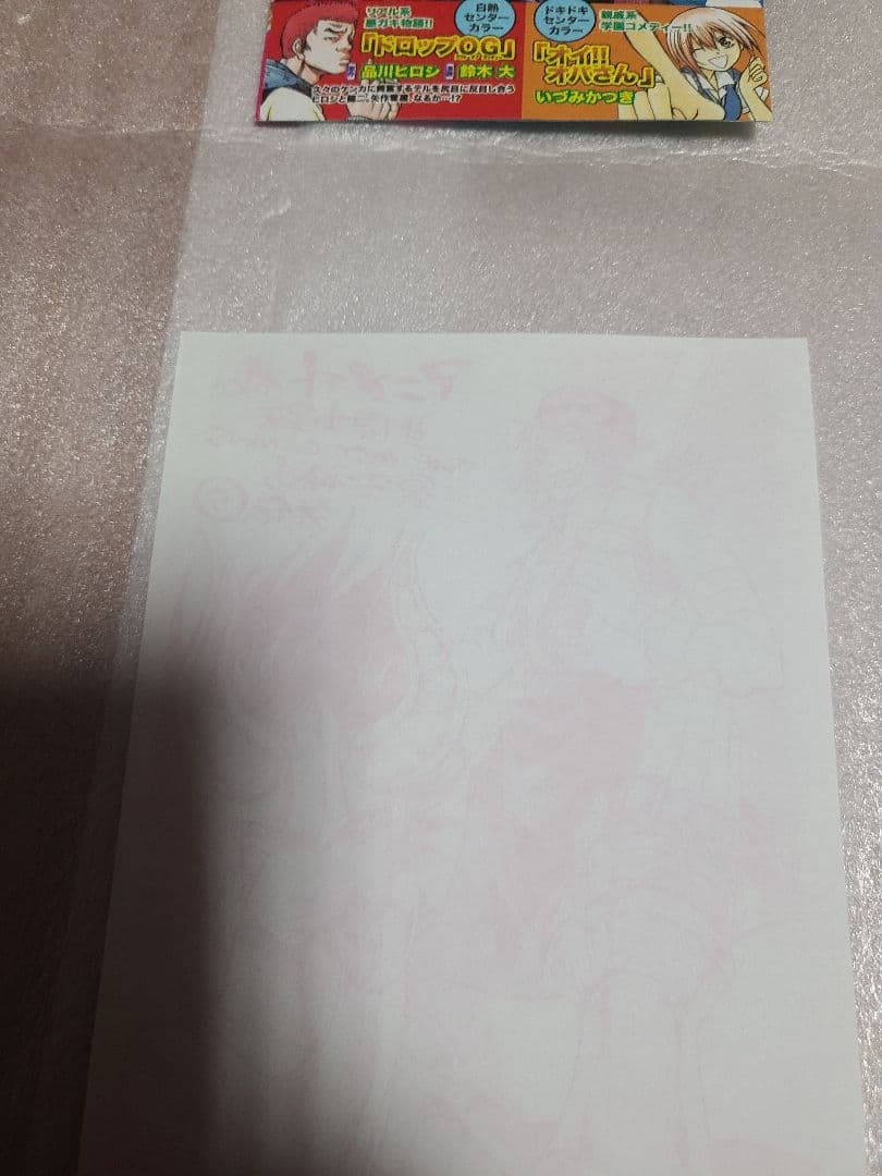 聖闘士星矢ロストキャンバス カプリコーン アニメイト 特典 ペーパー