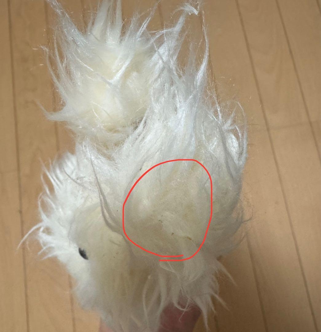 佐々木敦矢 Fe3O4:BREAK 限定盤 アルバム モケモケ