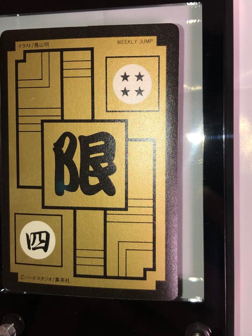 ドラゴンボールカードダス めちゃんこプロジェクト IV 孫悟飯 正規品