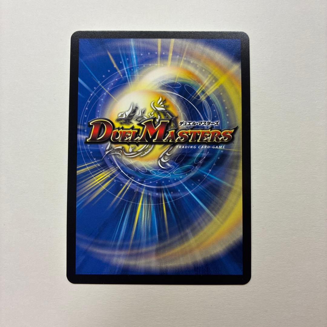 闘争類喧嘩目 ステゴロ・カイザー お清めシャラップ GPプロモ - メルカリ