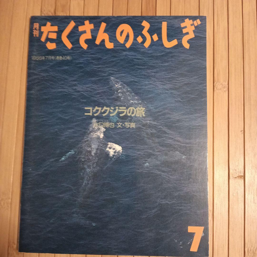 お値下げ！【たくさんのふしぎ】33冊＋希少！見本誌