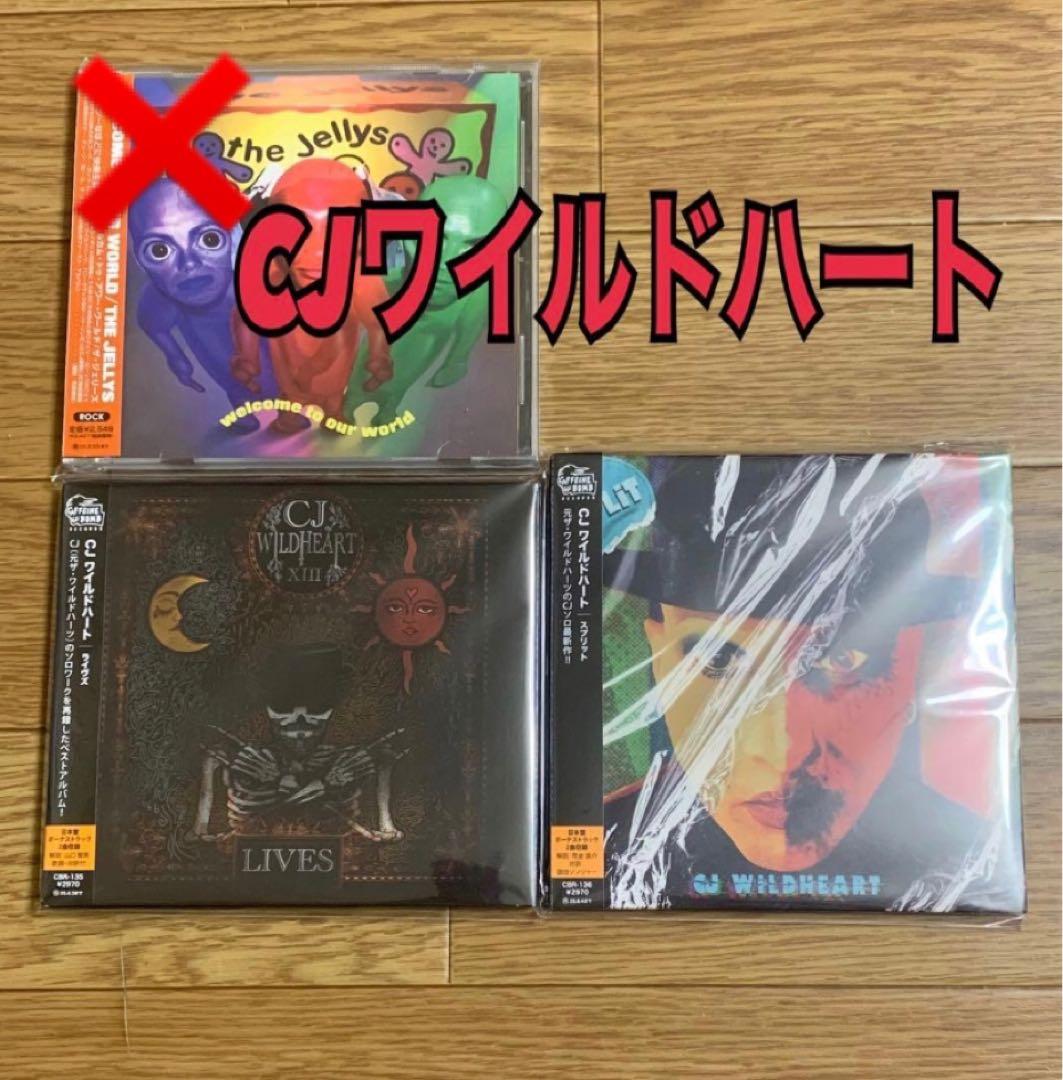 L.A.GUNS フィリップ・ルイス ハードロック　ヘヴィメタル