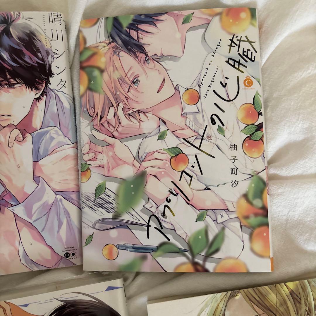 BL漫画　昔のものが多いです