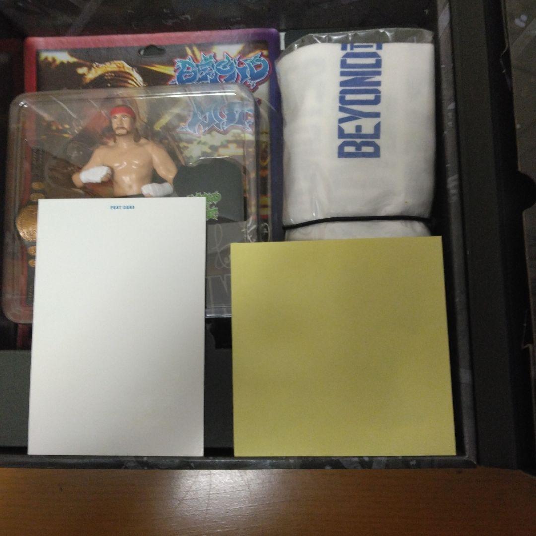 【美品】BEYOND THE MAT DVD SPECIALBOX フィギュア付