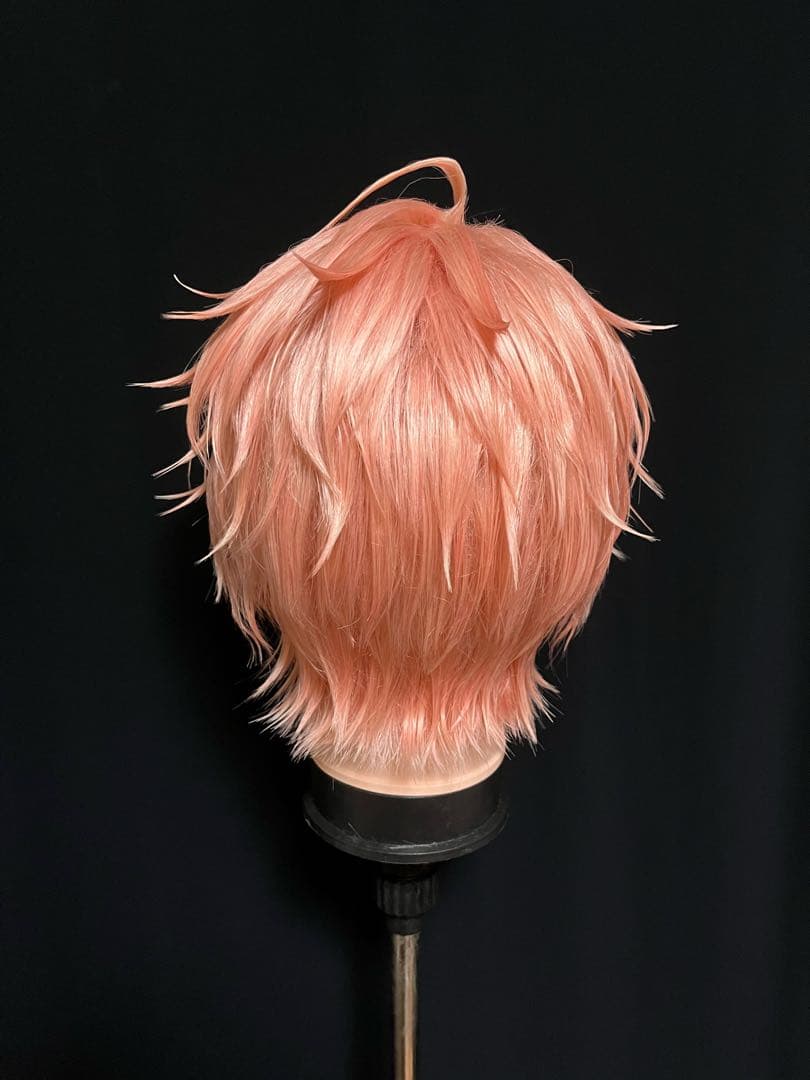 即購入⭕️】にじさんじ 赤城ウェン コスプレ ウィッグ - メルカリ