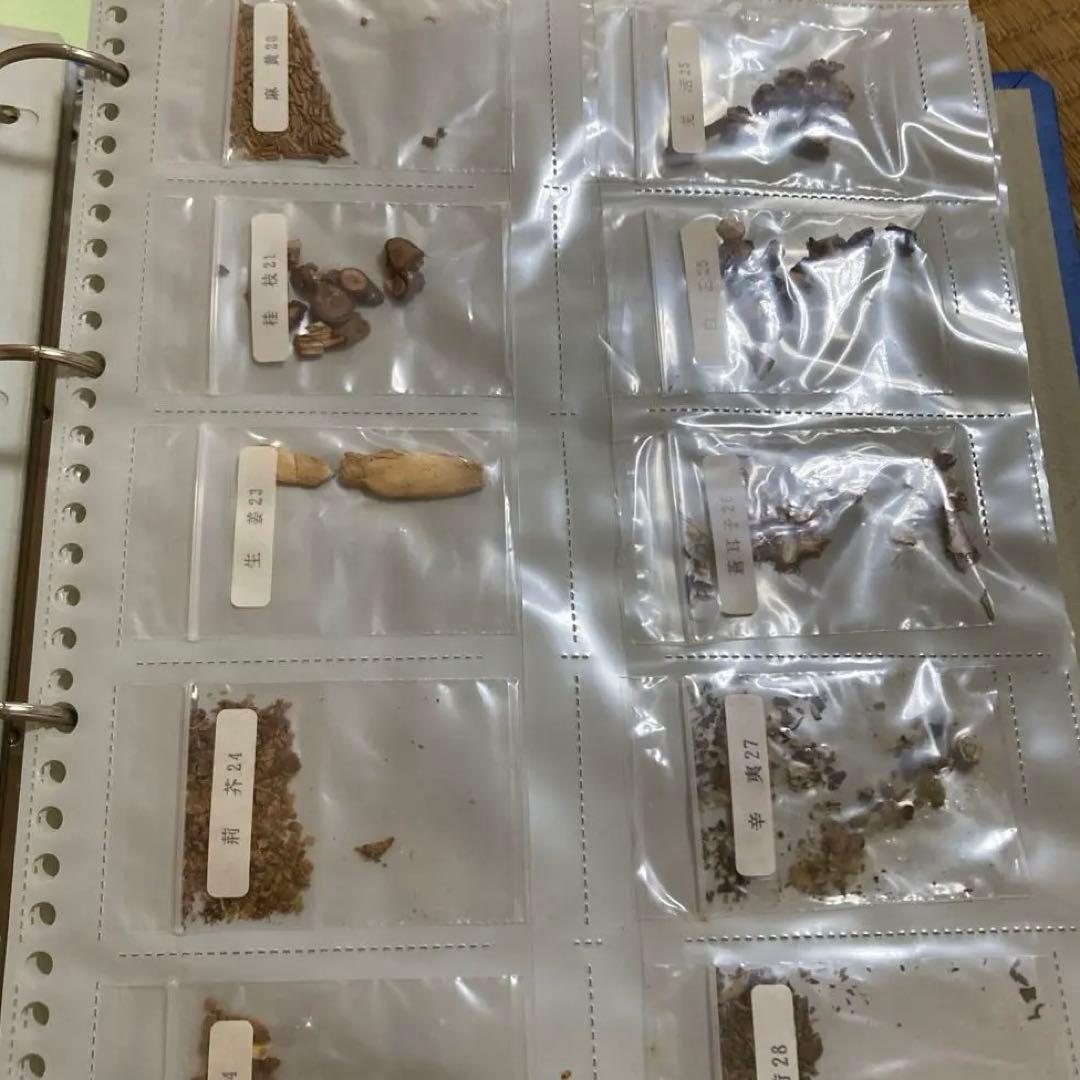 劇レア　中医学　漢方　上海中医薬大学通信教育テキスト　ビデオ　生薬サンプル　貴重