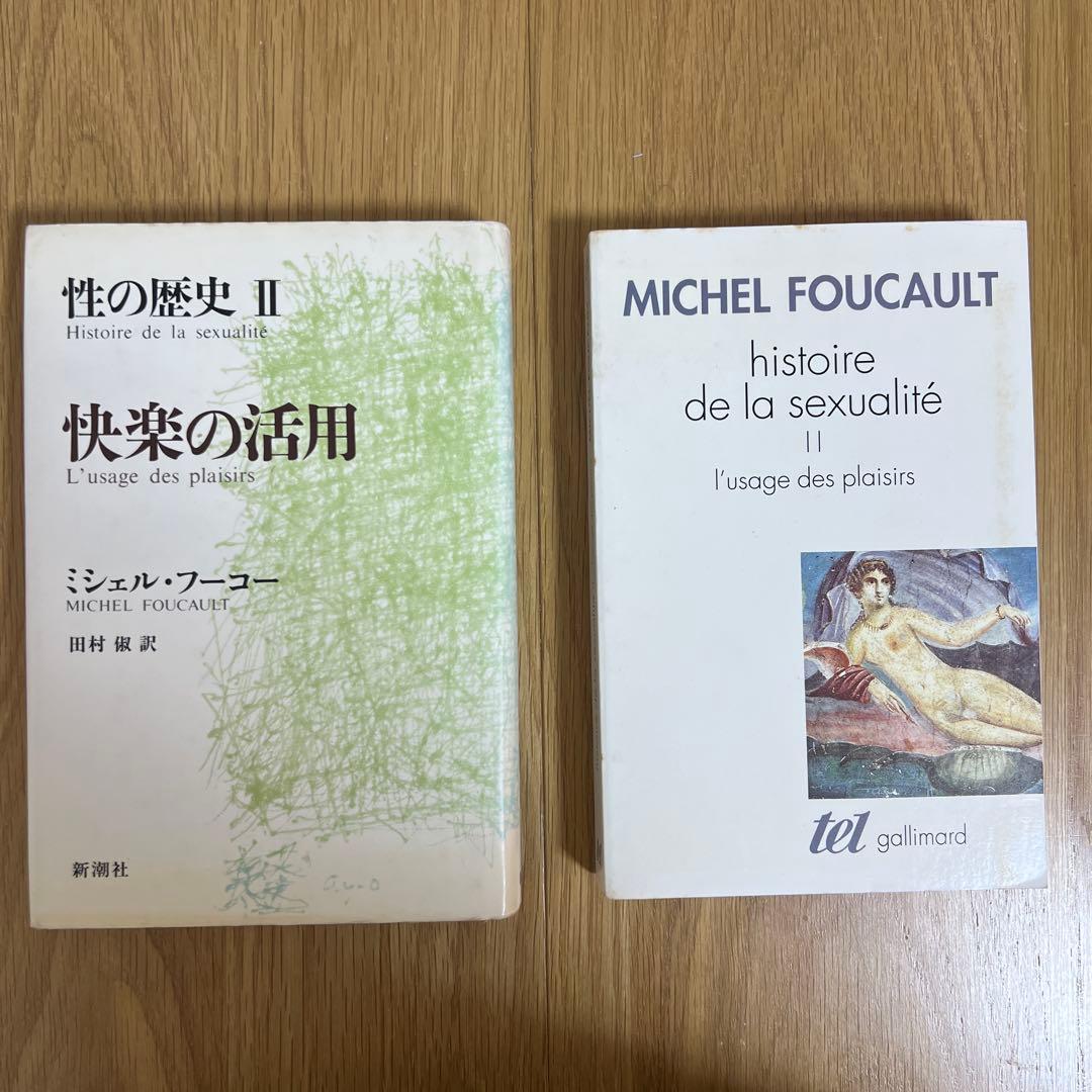 フーコー『性の歴史Ⅳ 肉の告白』などのセット