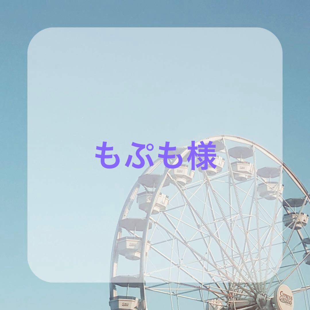 〈もぷも様〉ウィッグオーダー専用ページ ♡様 ウィッグオーダー確認ページ - メルカリ