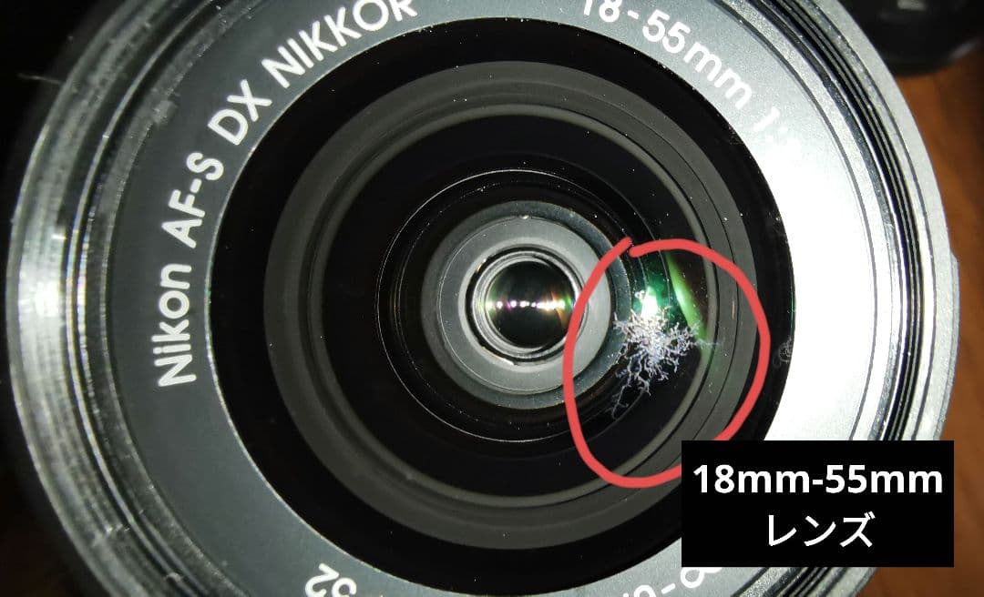 Nikon D5500 ダブルズームキット シャッター回数:1457 - メルカリ