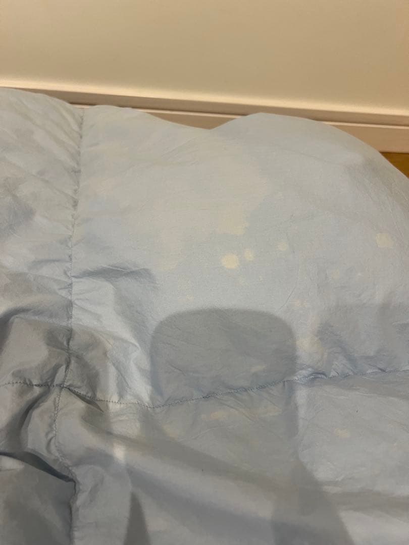 ポーランドグースダウン90% ドイツ製「セダウナ」　シングル 1.1k 軽量