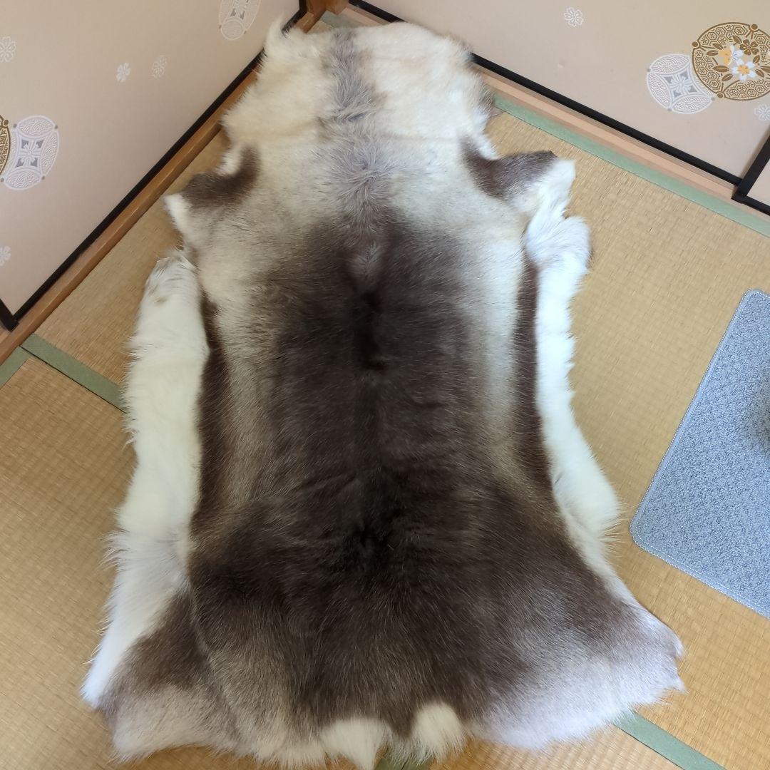 格安☆美品☆トナカイ一頭分の毛皮☆ 特大ラグマット 北欧❗️スウェーデン産‼️ トナカイ ファー 毛皮 ラグ マット 1頭分