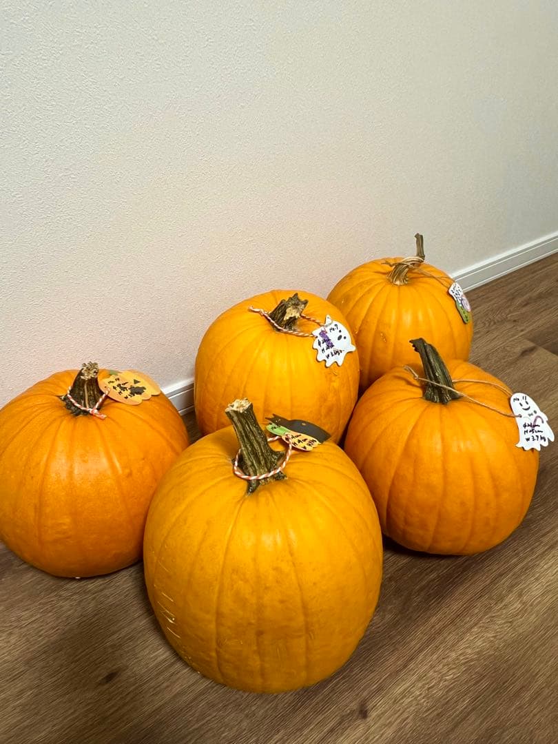 2025年産ハロウィンカボチャ(本物)NO.3.6.7.11.14