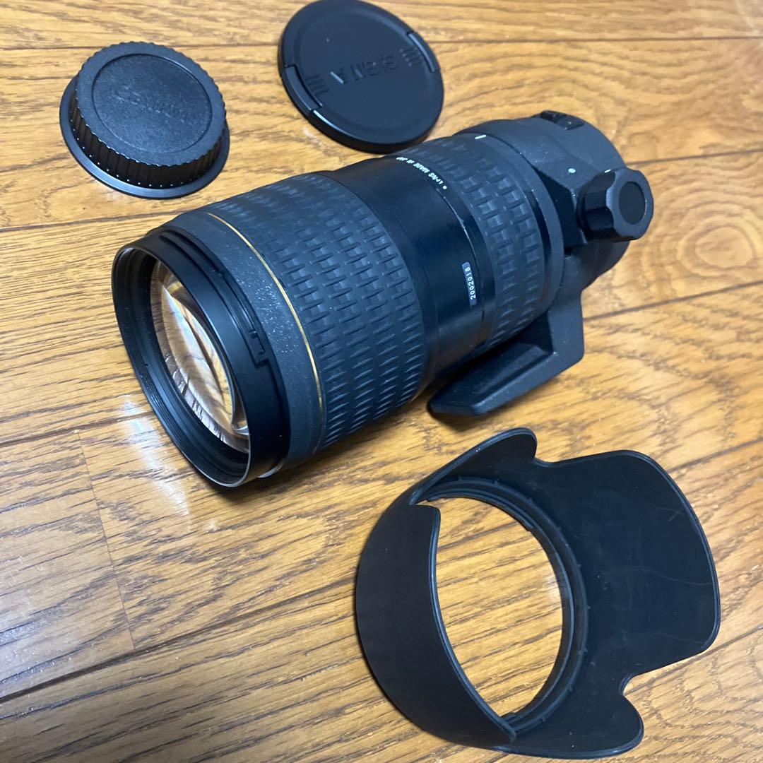 ⭐︎広角〜望遠&手ブレ☆Sigma 18-200mm OS for キャノン ☆