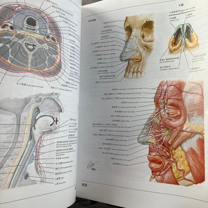 ネッター解剖学図譜 - メルカリ