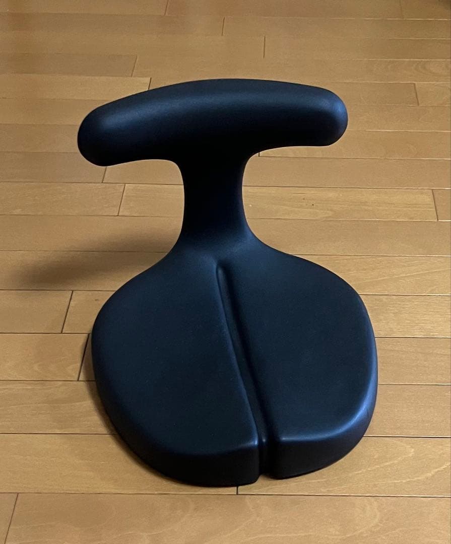 矯正用品・補助ベルト Ayur medical seat 姿勢サポート・座面シート｜腰痛対策・姿勢改善椅子、学習椅子（イス