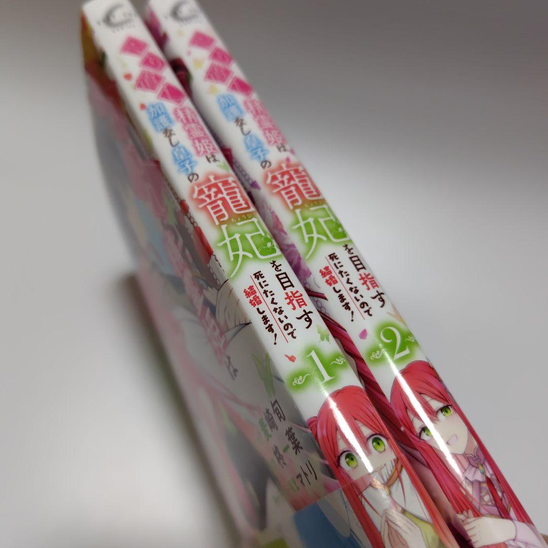 やり直し精霊姫は加護なし皇子の寵妃を目指す