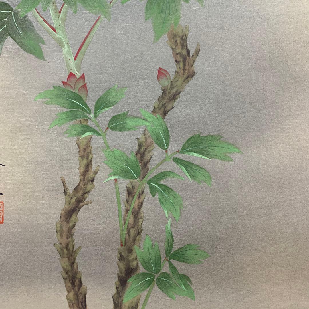 美品 掛け軸 柳沢寿江作 牡丹図 共箱 縁起物 美術年鑑掲載作家 - メルカリ