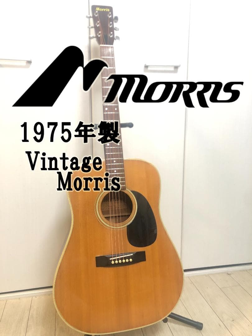 Morris モーリス W-20 アコースティックギター ビンテージ Morris Morris W-20 Acoustic Guitar アコースティックギター モーリス
