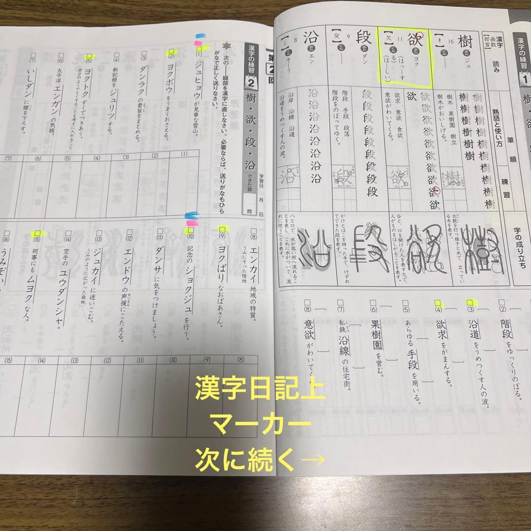 中学受験新演習 漢字日記 国語小6上下 解答付 - メルカリ