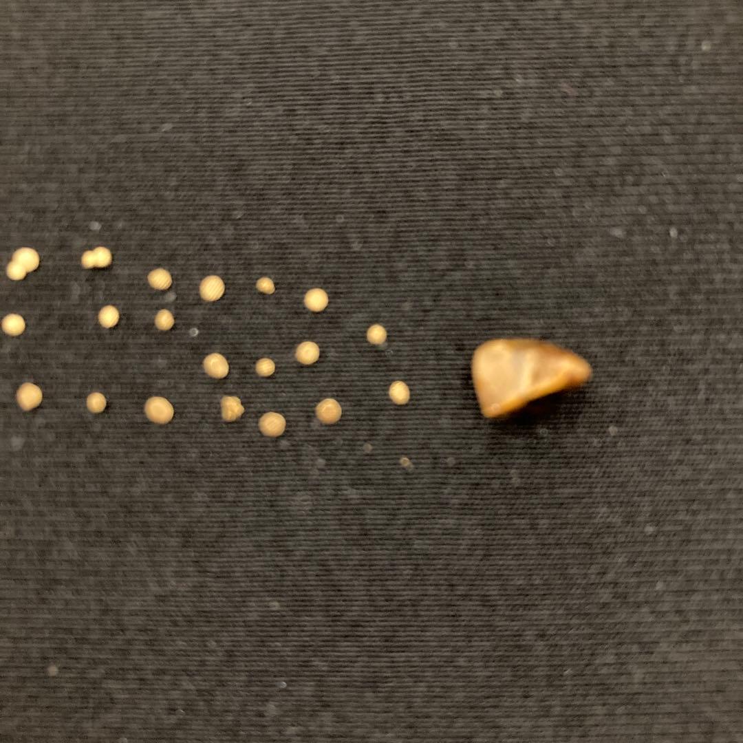 土肥金山 砂金 32粒（内3つは双子） 鉱石1粒 計33粒セット - メルカリ