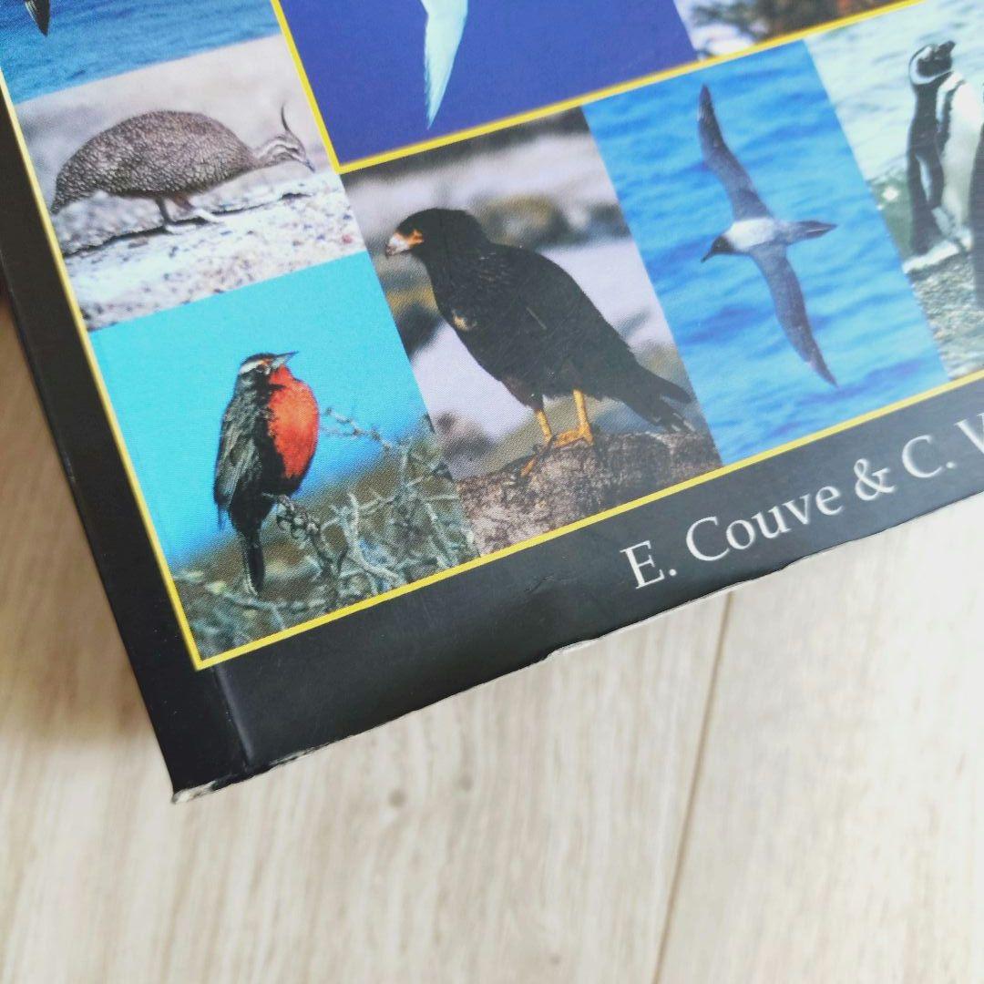 パタゴニア ティエラ・デル・フエゴ 南極半島の鳥 鳥類の写真ガイド