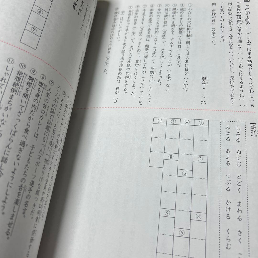 19-17か 重要教材 サピックス SAPIX 言葉ナビ 上巻・下巻 未記入