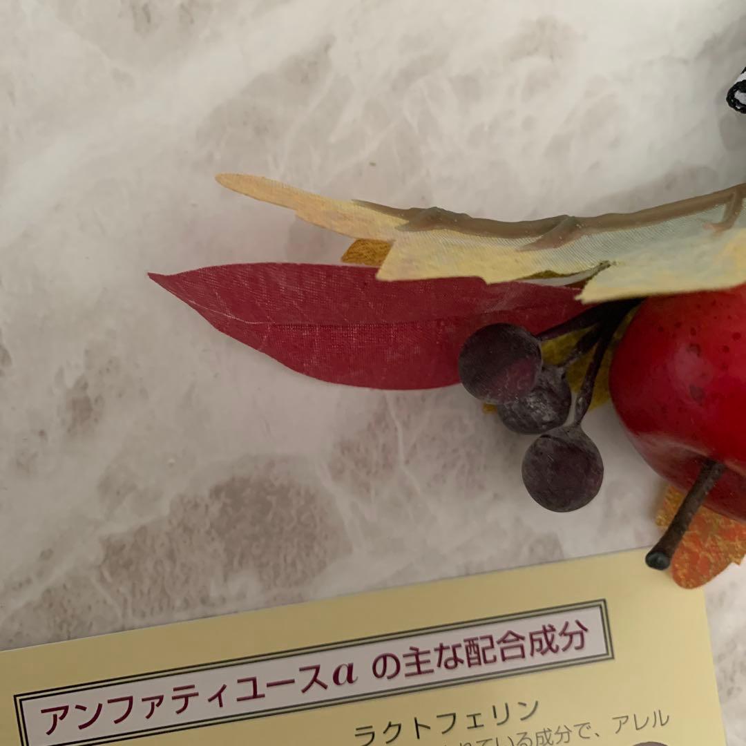 アンファティ　ユースNA大　 新箱2本