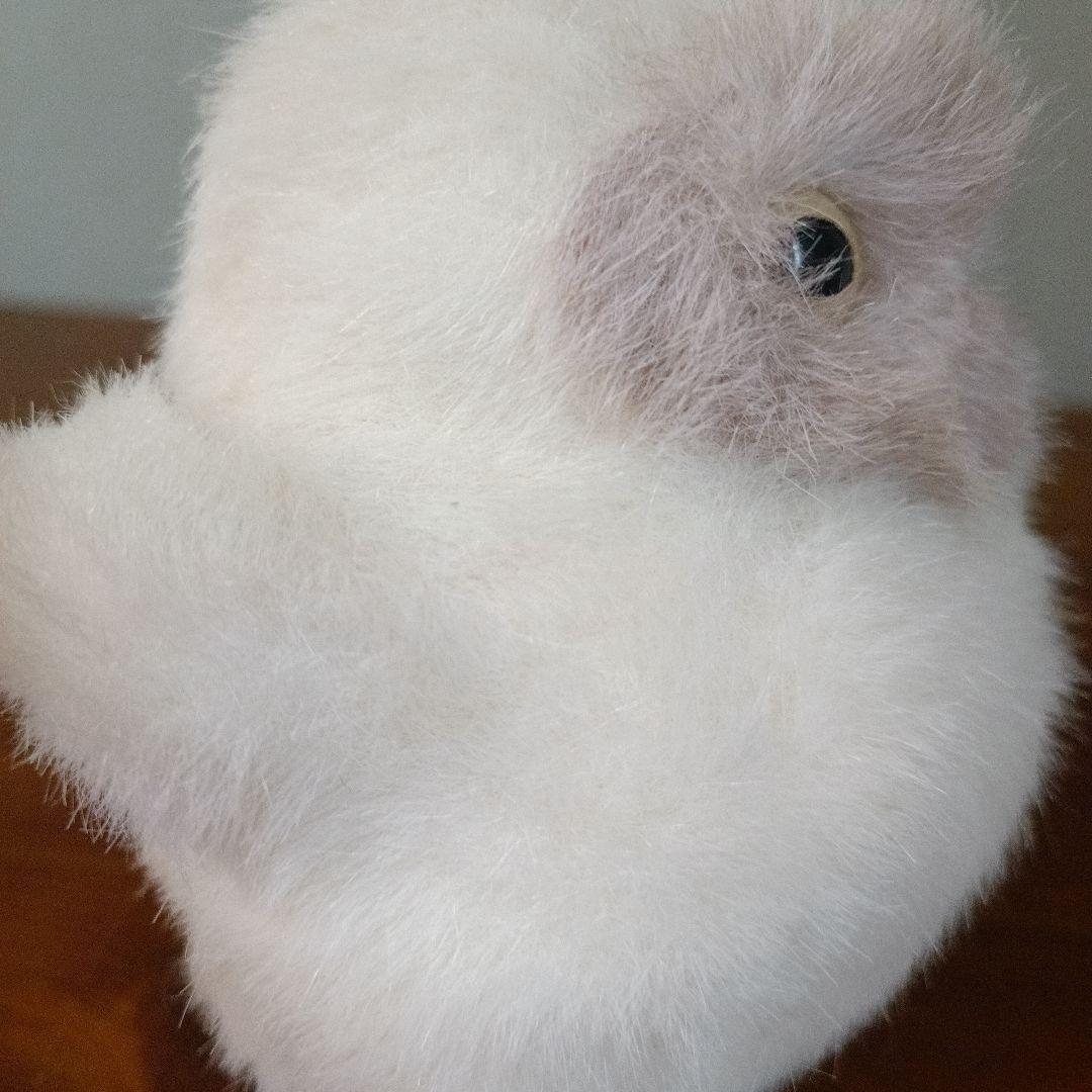 やまね工房 北海道 ふくろうのひな 雛 フクロウ リアル ぬいぐるみ