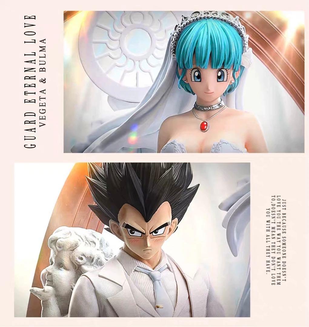 ベジータ＆ブルマ 結婚 ドラゴンボール フィギュア ガレージキット1