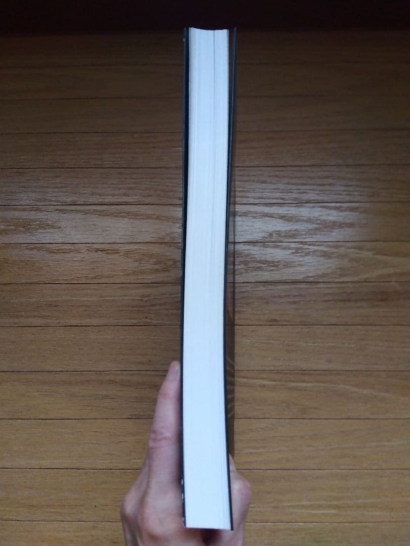 City of Darkness　写真集　 絶版本