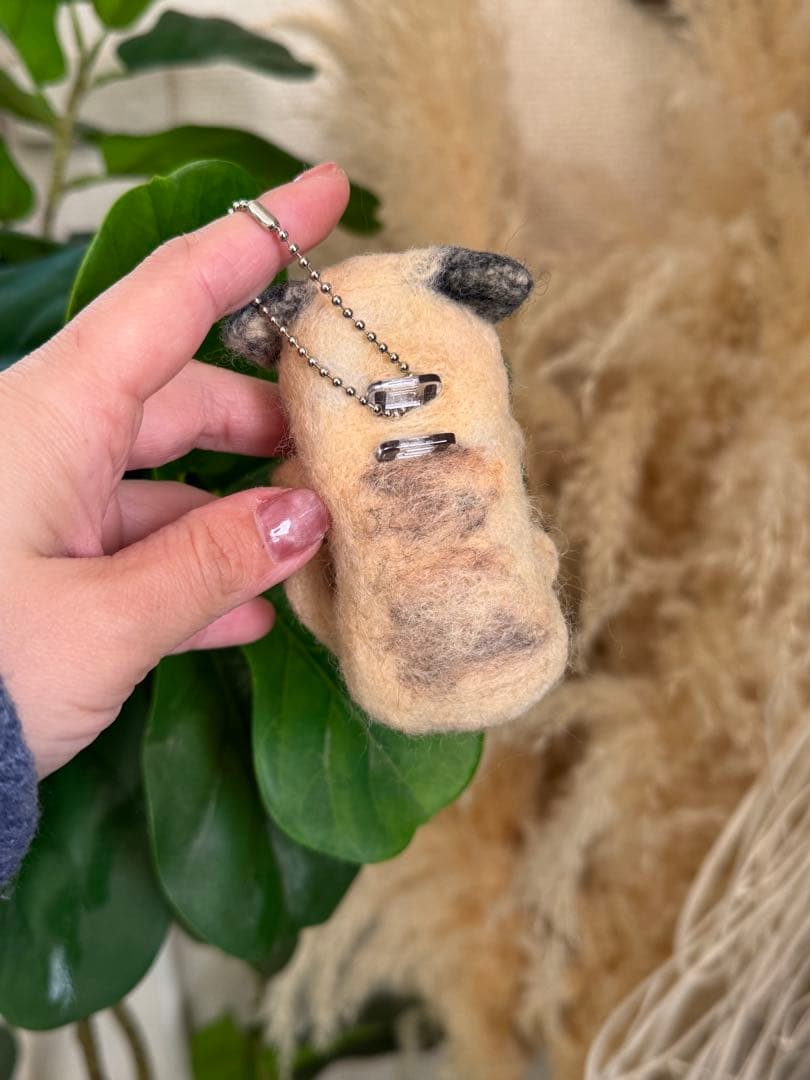 クリップペット 羊毛フェルト パグ 犬 わんこ うちの子 - メルカリ