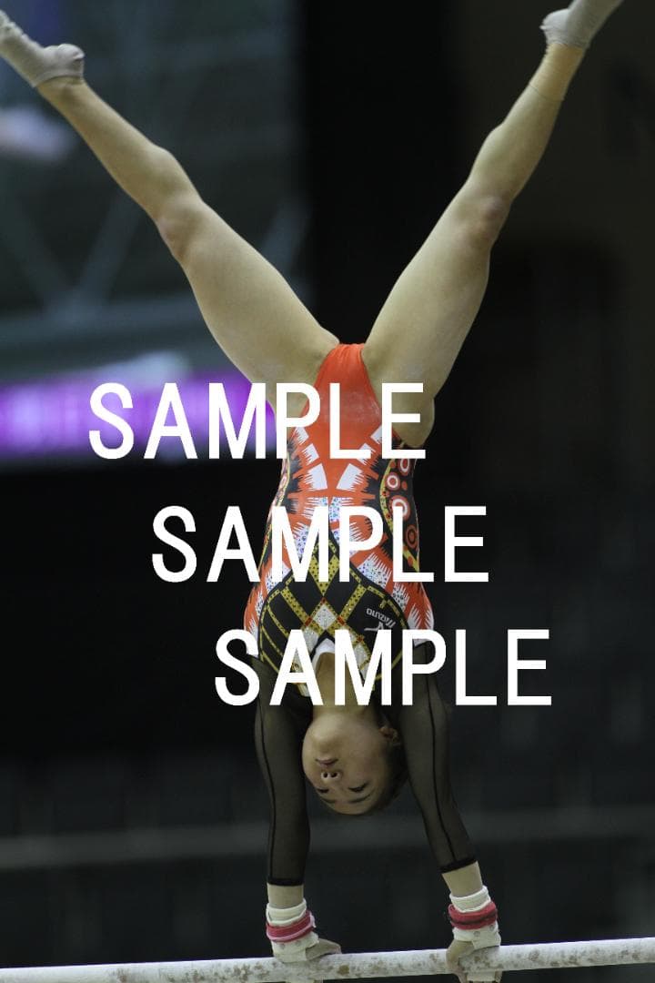 ☆9/30終売☆寺本明日香 画像集(2015～2019年) 約15,500枚