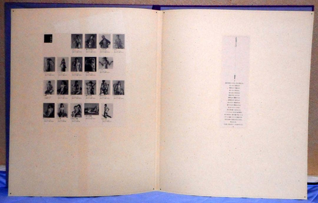 【値下】高塚省吾 素描集『女たち』（芸術新聞社）外箱付き 極美品