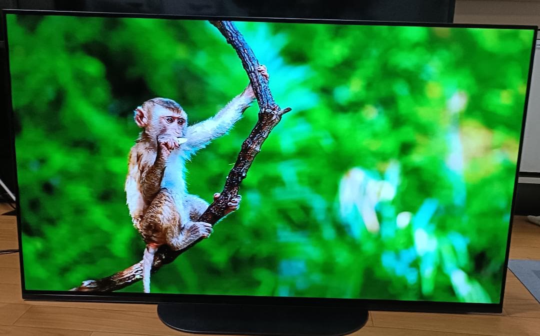 Fニーナ様専用】 20年製 SONYBRAVIA 48V型 KJ-48A9S