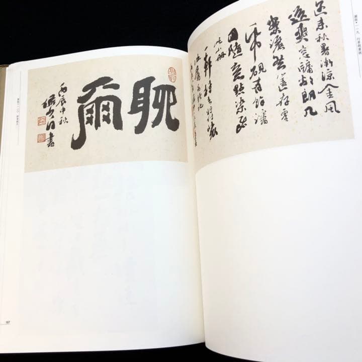 中国書道】「陸儼少 - 海派代表書法家系列作品集」上海書画出版社